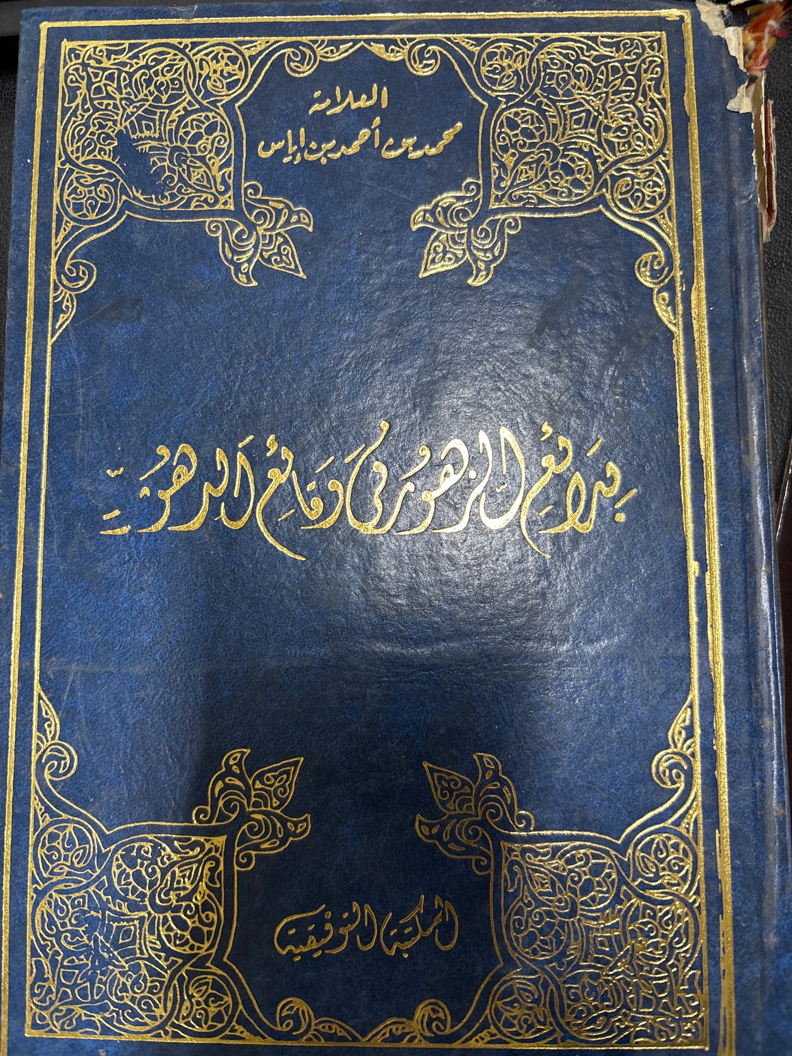 بدائع الزهور في وقائع الدهور